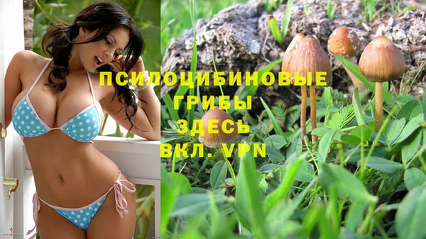кокс Беломорск