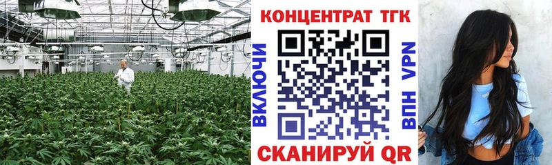 где продают наркотики  Славгород  ТГК THC oil 