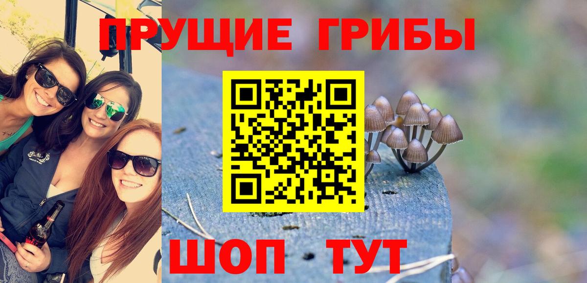 Славгород  Галлюциногенные грибы прущие грибы  Вход с VPN 